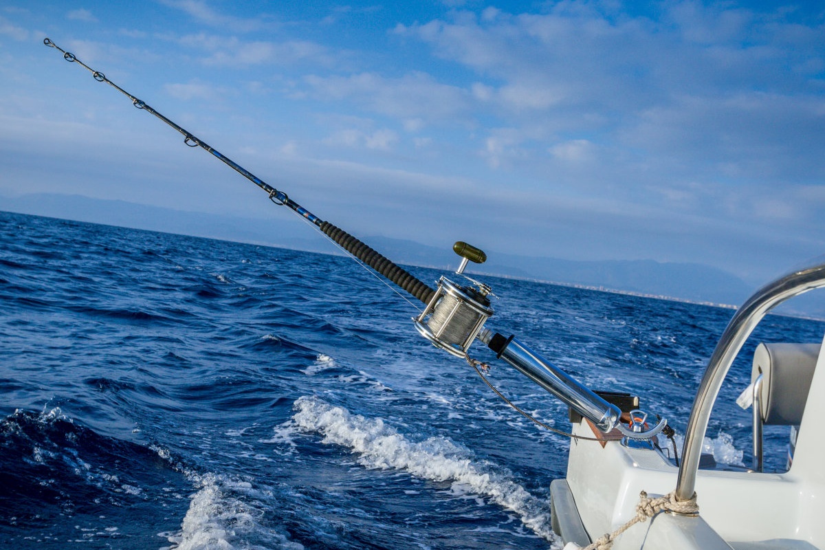 Močno osnovno 360-stopinjsko nastavljivo držalo za palice
